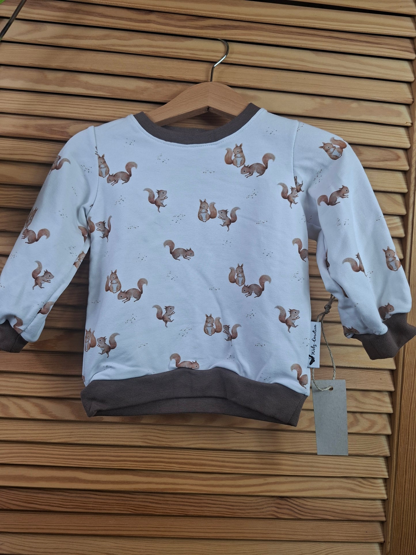 Pulli Eichhörnchen Größe 80