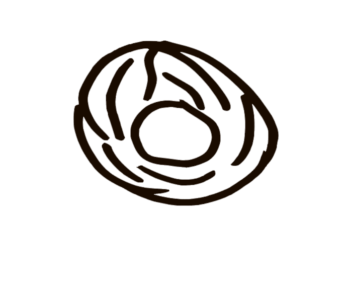 Loop Schal Bauernhof Leiter