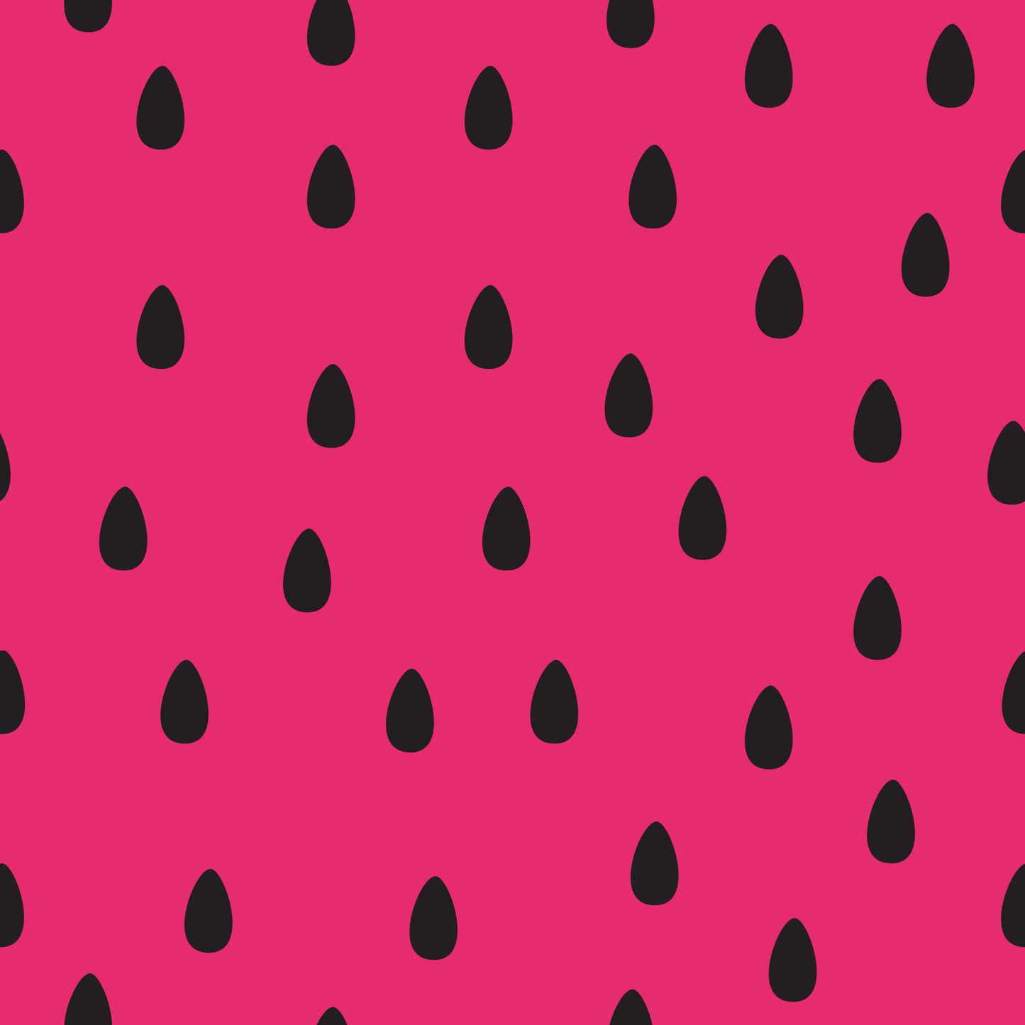 Eigenproduktion Vorbestellung 0,5 Meter Melone 3