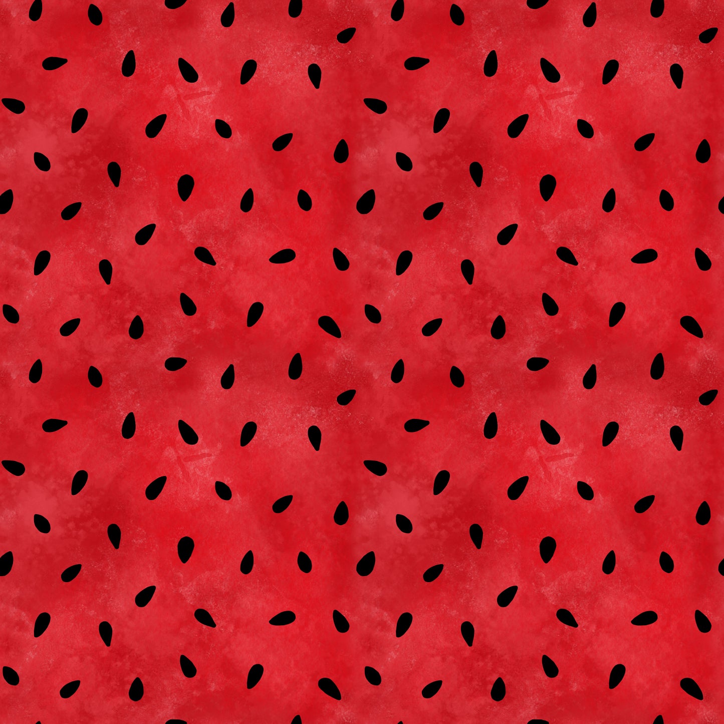 Eigenproduktion Vorbestellung 0,5 Meter Melone 4