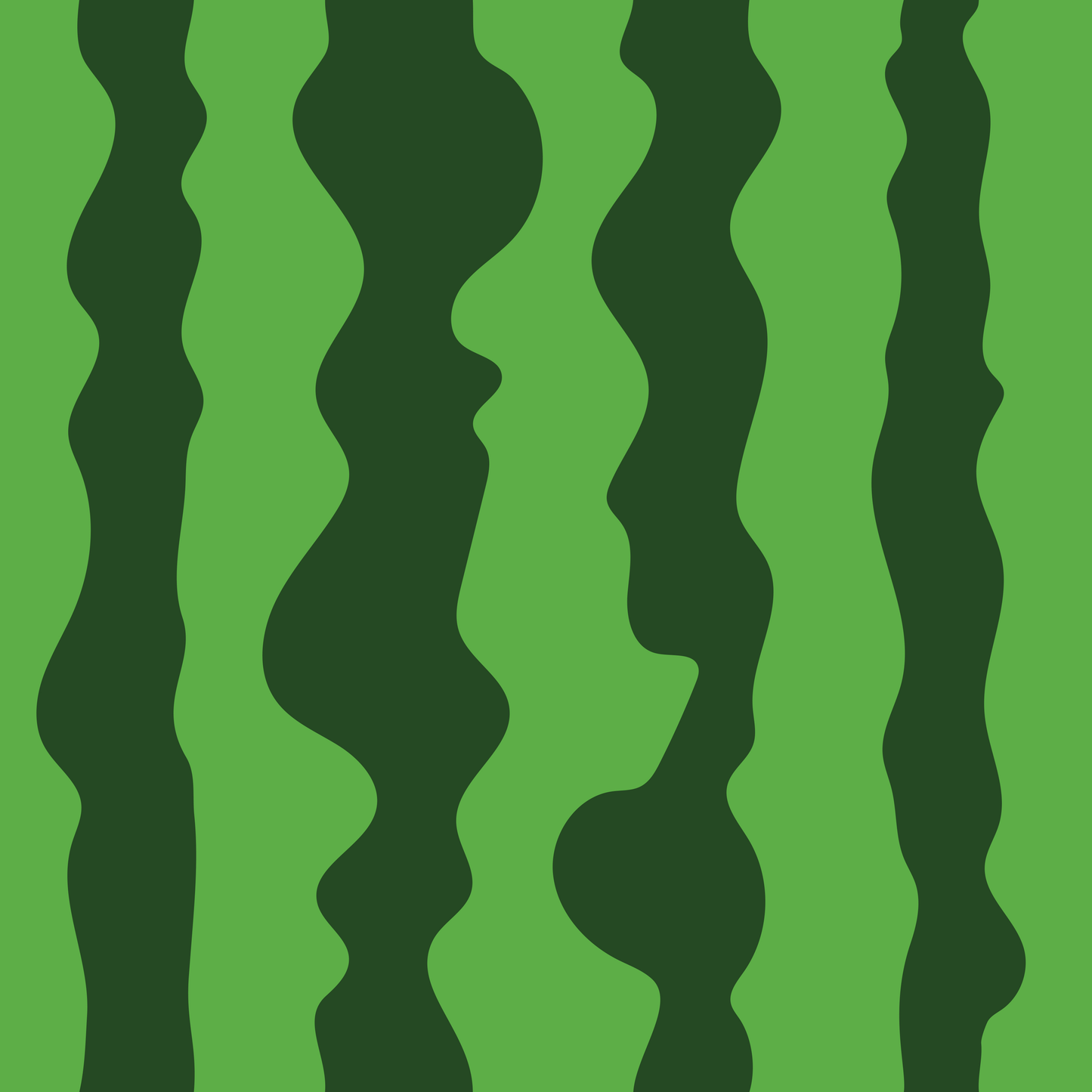 Eigenproduktion Vorbestellung 0,5 Meter Melonenstreifen 3
