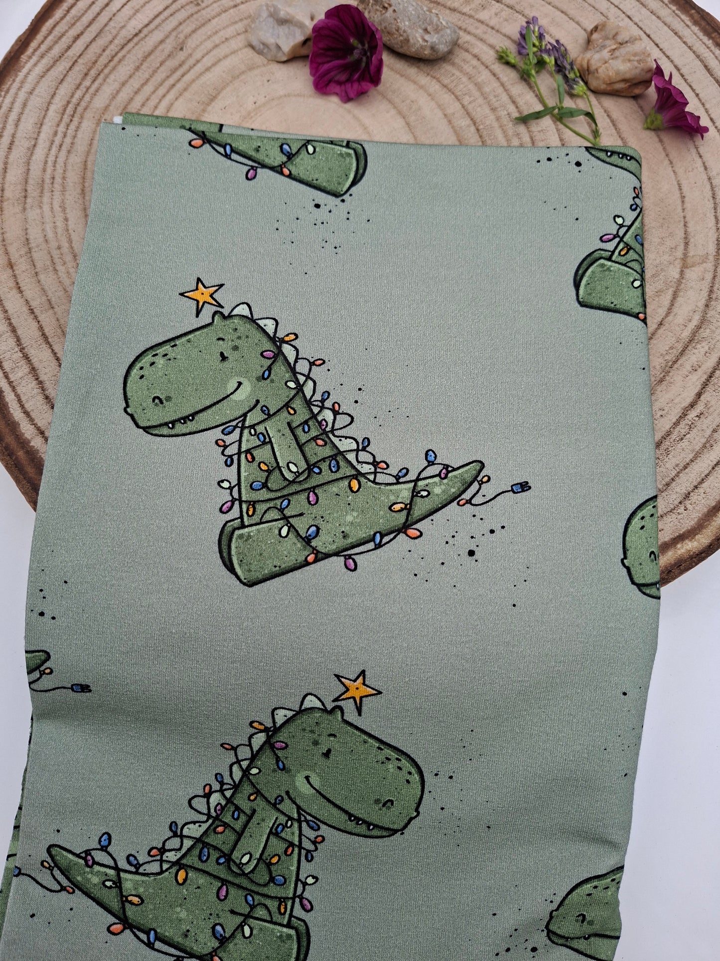 EP Christmass Dino French Terry