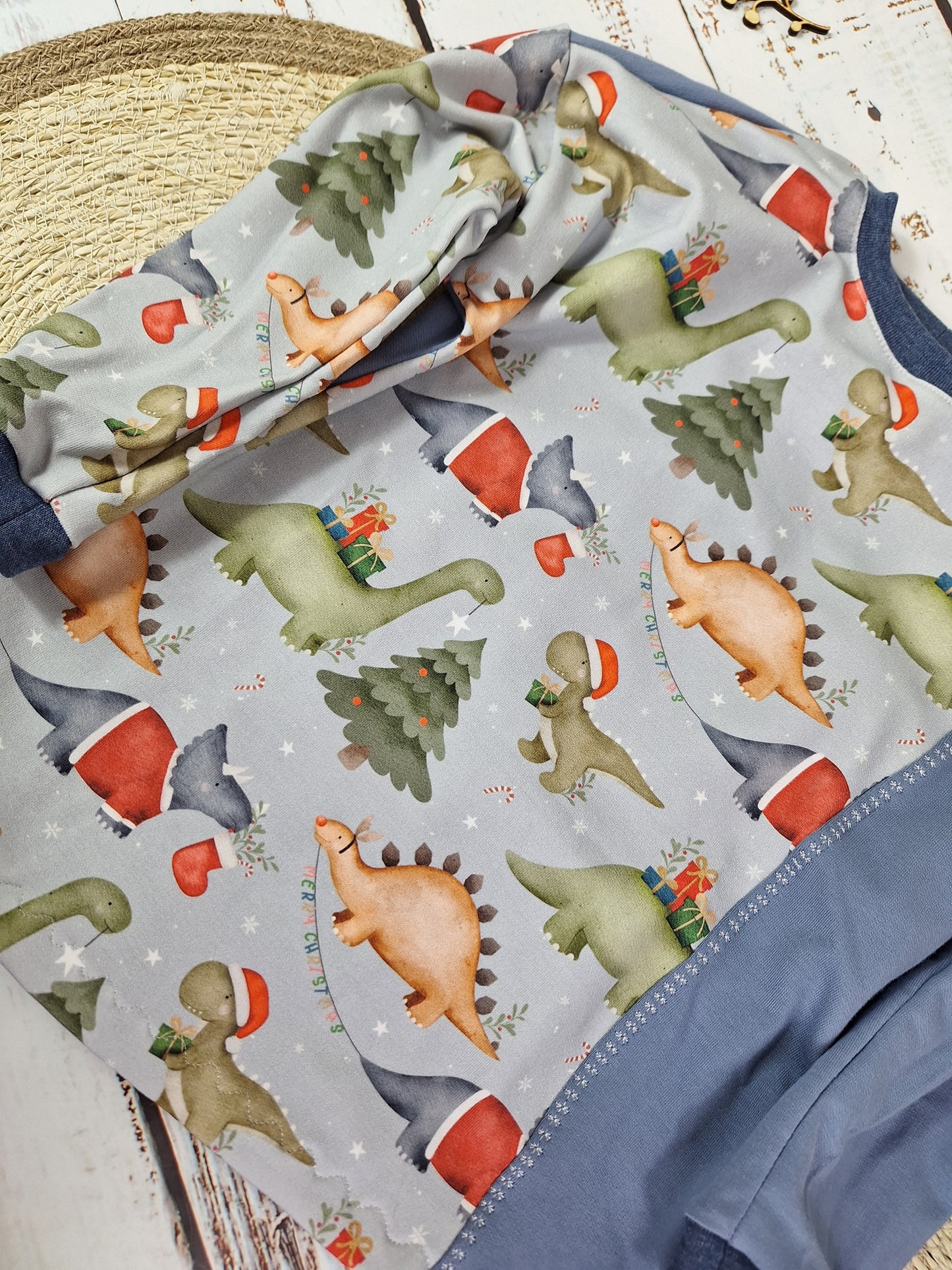 Pulli 2 Line Weihnachts Dino