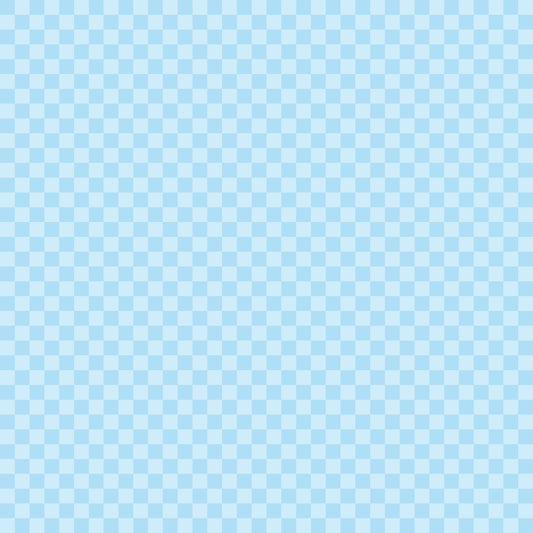 Eigenproduktion Vorbestellung 0,5 Meter Grid 13
