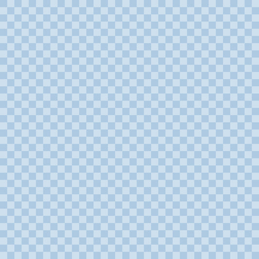 Eigenproduktion Vorbestellung 0,5 Meter Grid 14