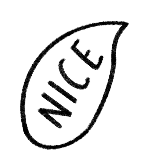 Bügelbild NICE