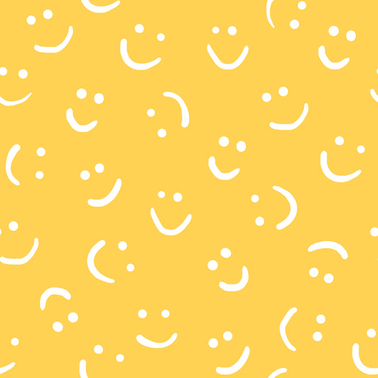 Eigenproduktion Vorbestellung 0,5 Meter Smileys 6