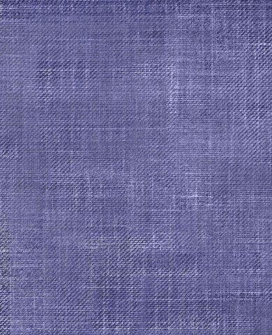 Stoffmuster Denim 1