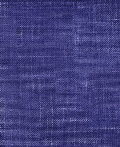Stoffmuster Denim 2