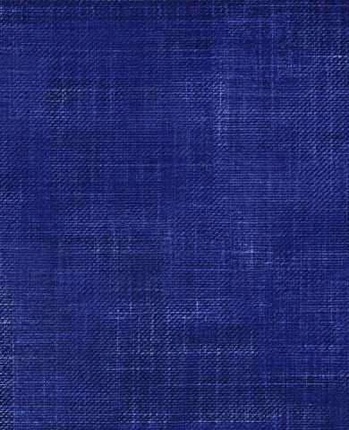 Stoffmuster Denim 17