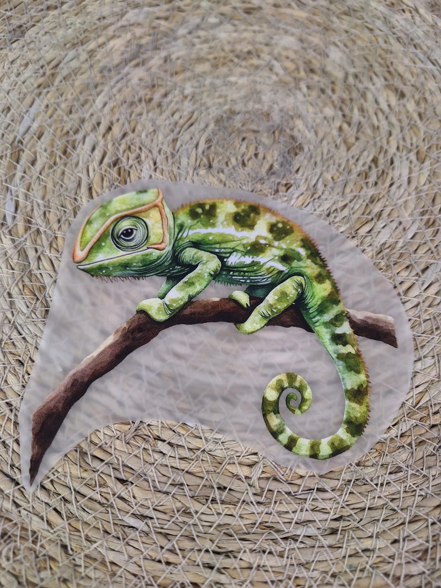 Bügelbild Camelion