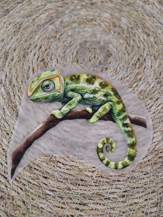 Bügelbild Camelion
