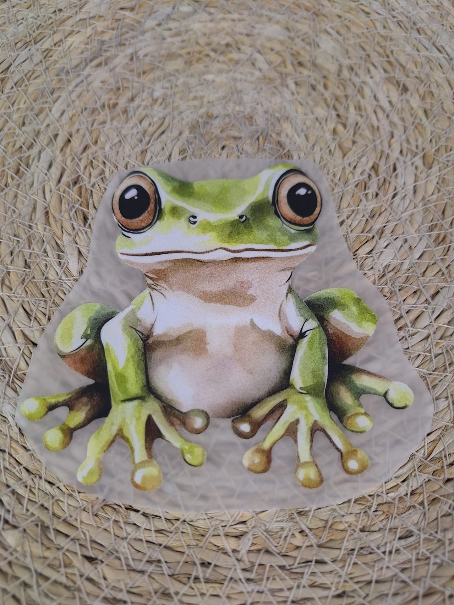 Bügelbild Frosch Friedrich