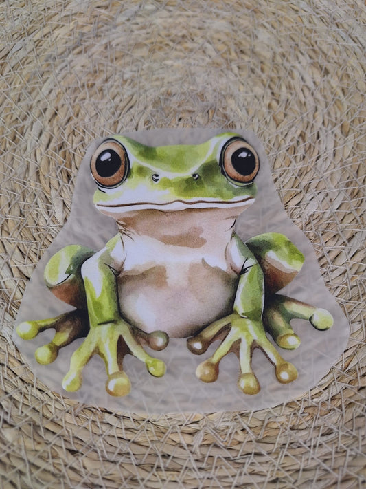 Bügelbild Frosch Friedrich