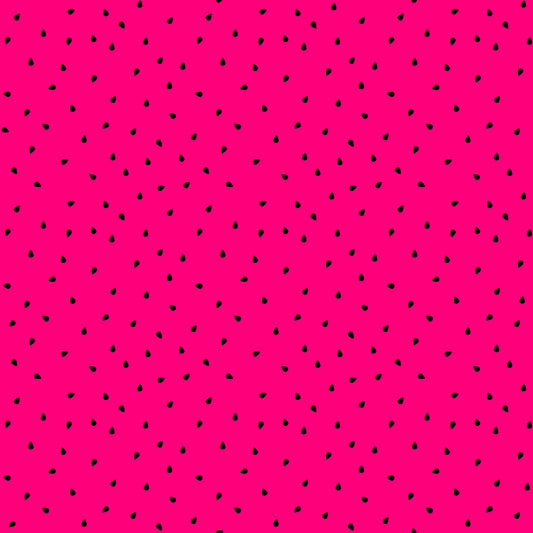 Eigenproduktion Vorbestellung 0,5 Meter Melone 1