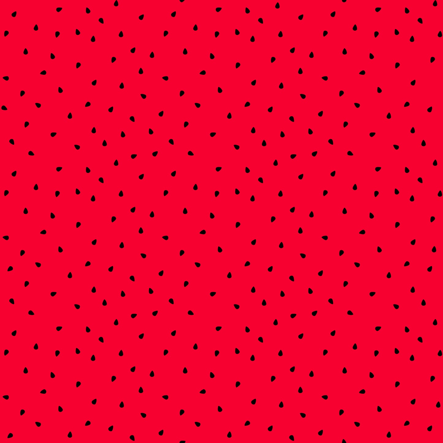 Eigenproduktion Vorbestellung 0,5 Meter Melone 2