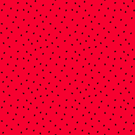 Eigenproduktion Vorbestellung 0,5 Meter Melone 2