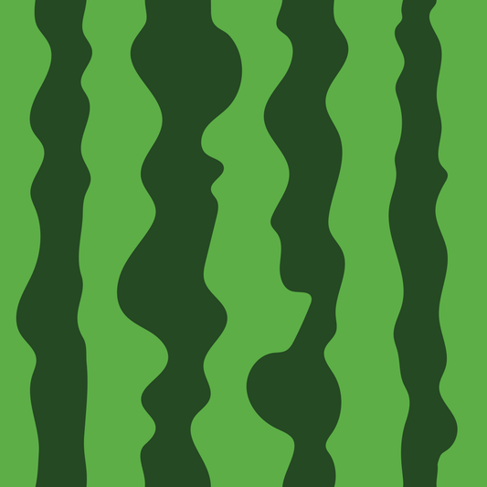 Eigenproduktion Vorbestellung 0,5 Meter Melonenstreifen 3