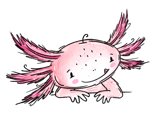 Bügelbild Axolotli
