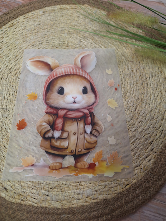 Bügelbild Cool Hase